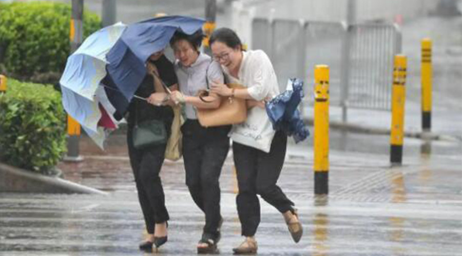 家有衣物烘干機(jī)，無懼臺(tái)風(fēng)天吹走和淋濕衣物！