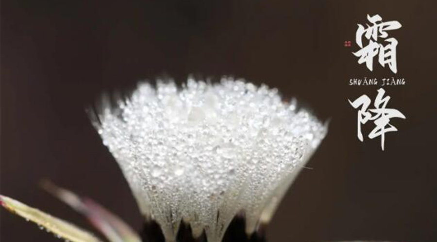 霜降時節(jié)！金環(huán)電器提醒大家要注意的事項