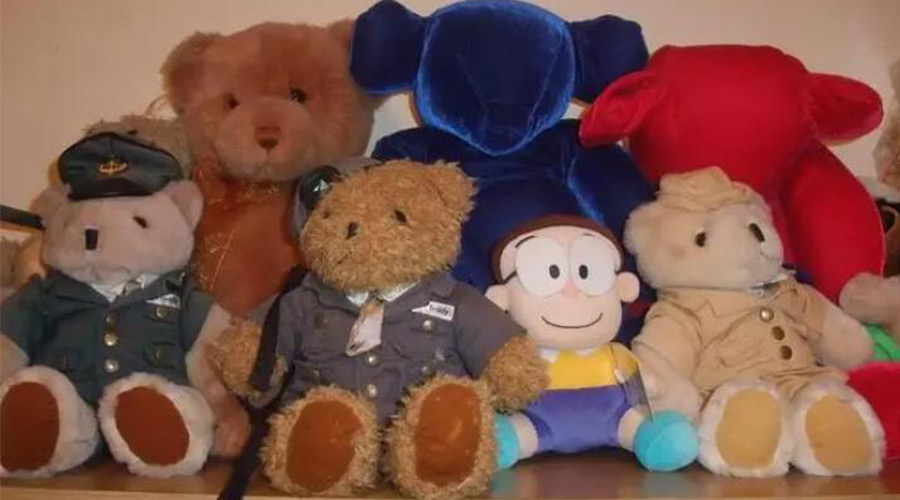 解答！毛公仔可以使用滾筒衣服烘干機除菌嗎