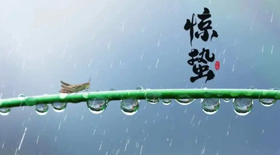 驚蟄時節(jié)！金環(huán)電器提醒大家干衣要注意這些