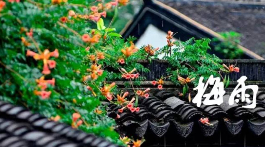 什么是梅雨？梅雨如何形成？  金環(huán)電器告訴你答案